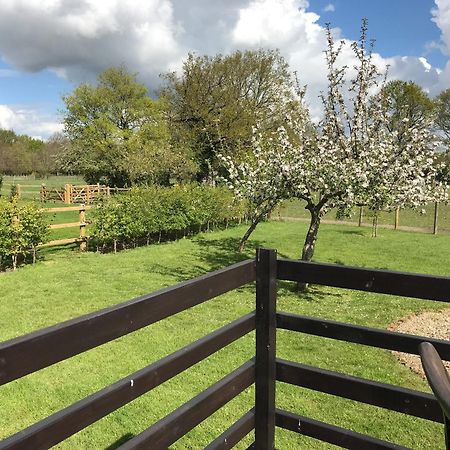 Maplehurst Barn Stables Staplehurst Экстерьер фото