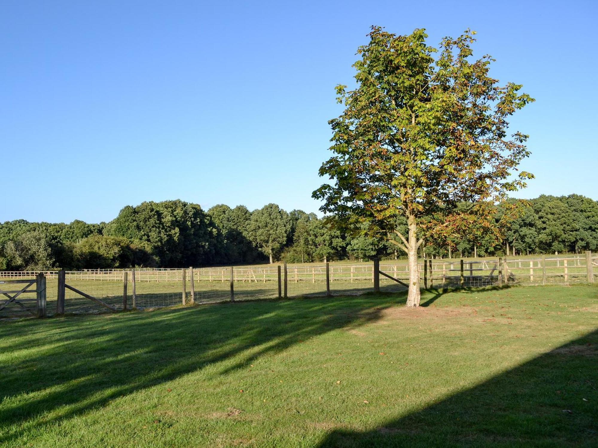 Maplehurst Barn Stables Staplehurst Экстерьер фото