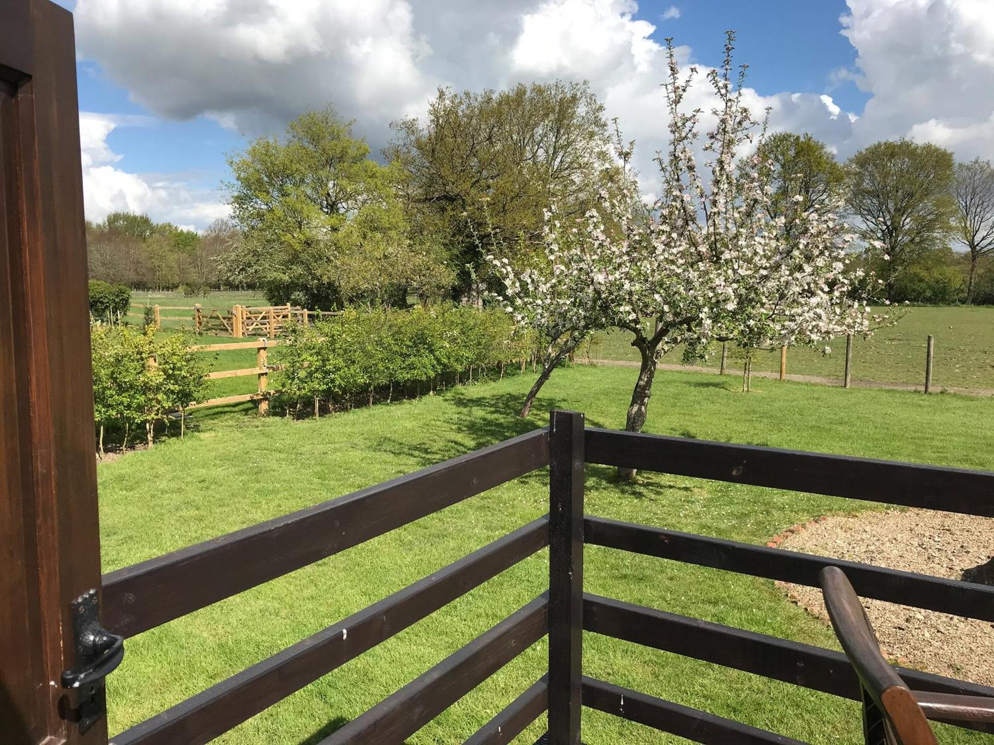 Maplehurst Barn Stables Staplehurst Экстерьер фото