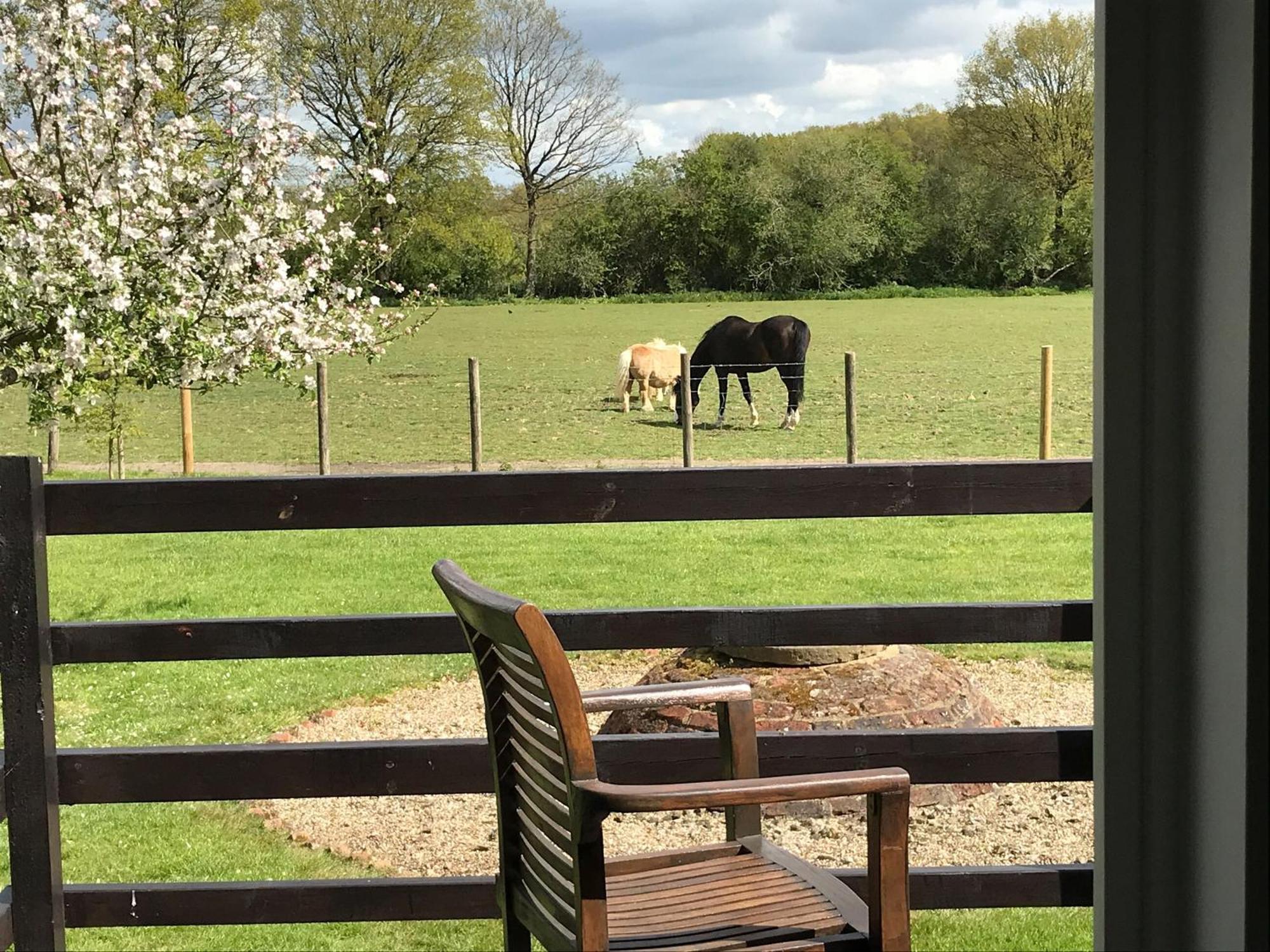 Maplehurst Barn Stables Staplehurst Экстерьер фото